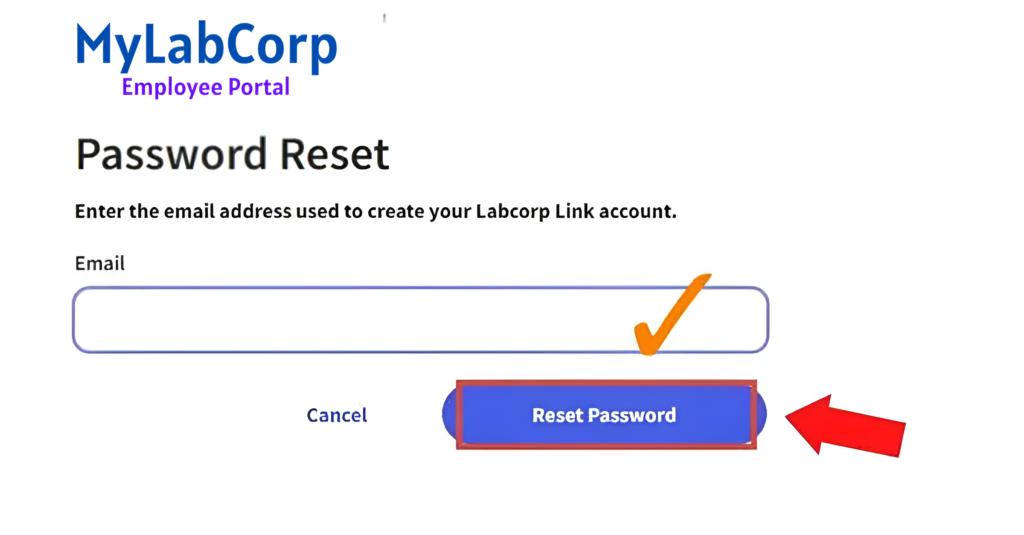 Password Reset